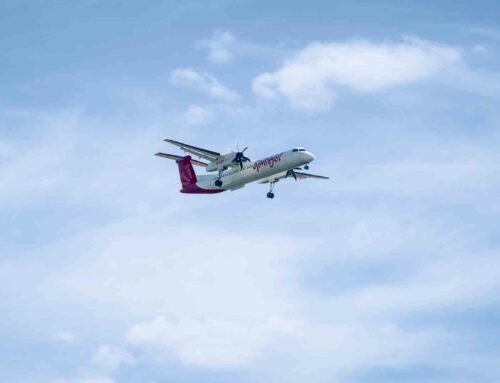 Cyberjoy: il diritto alla navigazione felice per tutti